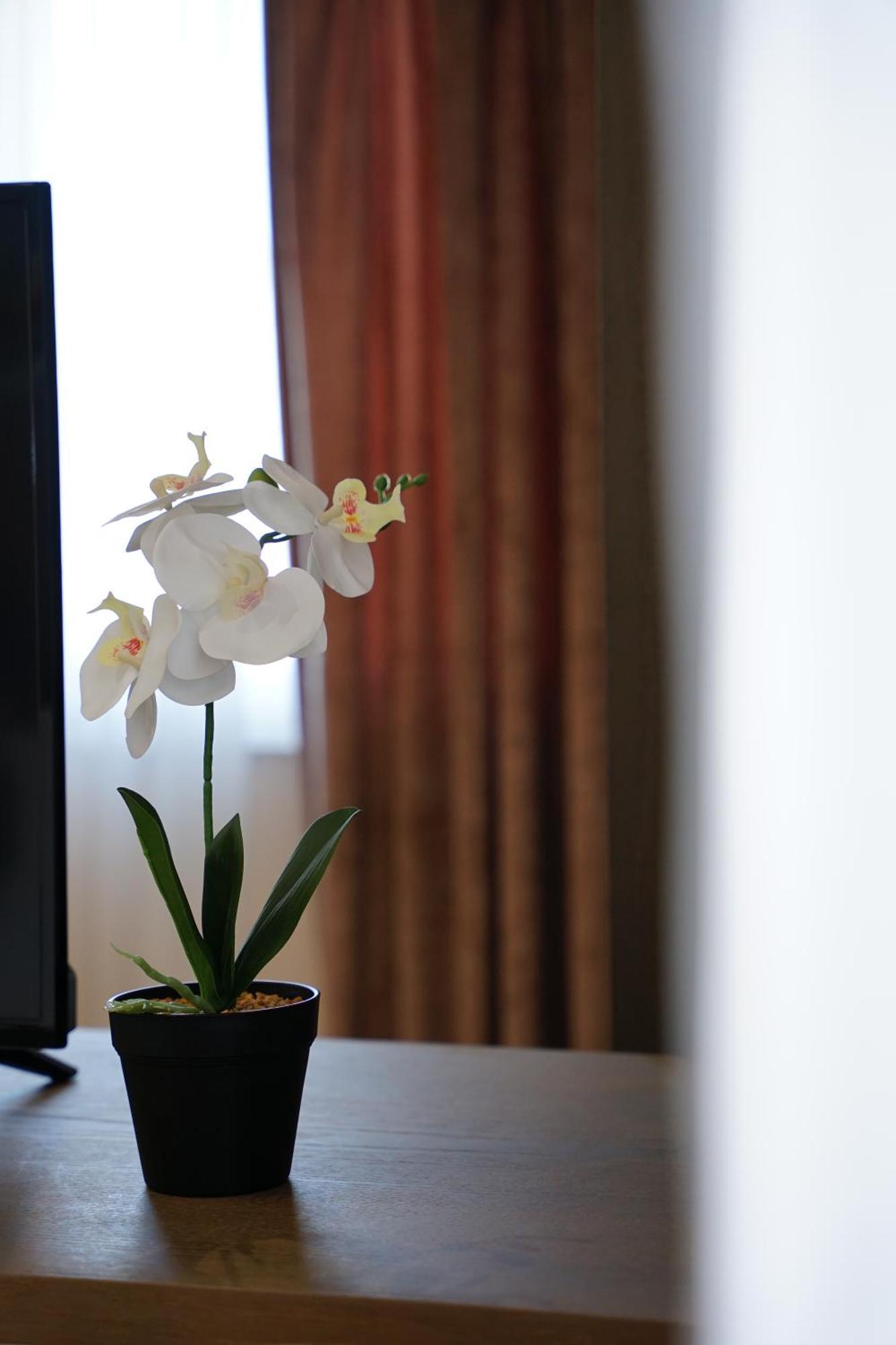 Doanesia Premium Hotel & Spa Tiranë Ngoại thất bức ảnh